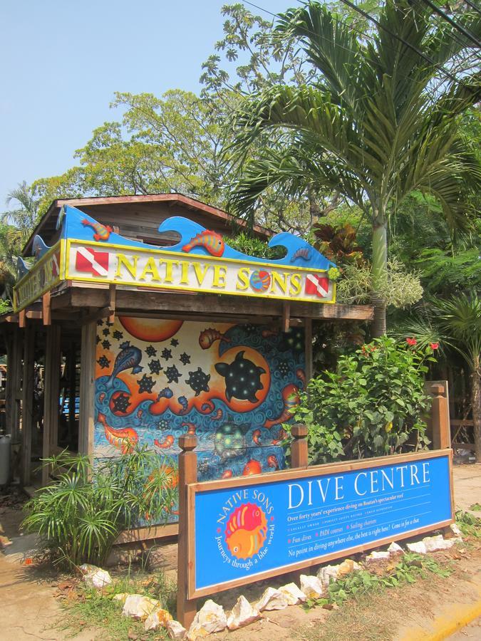 Hotel Chillies And Native Sons Diving เวสต์เอนด์ ภายนอก รูปภาพ
